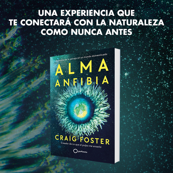 Banner Alma anfibia