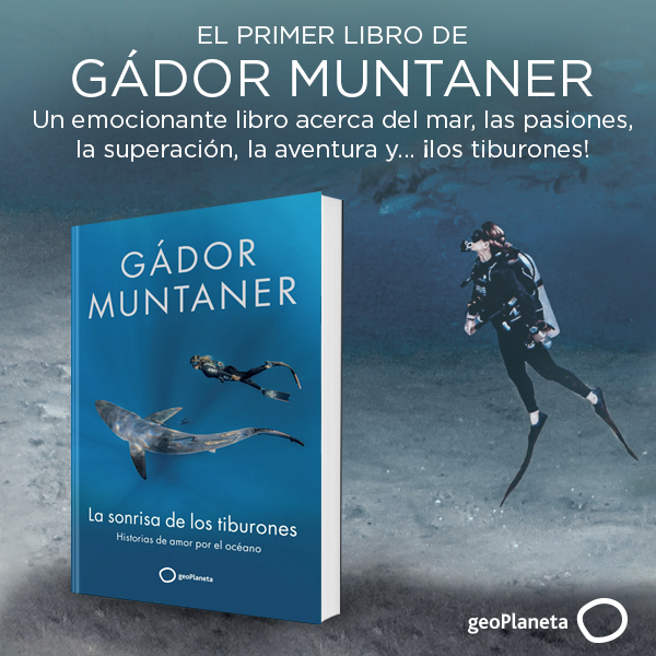 Banner La sonrisa de los tiburones