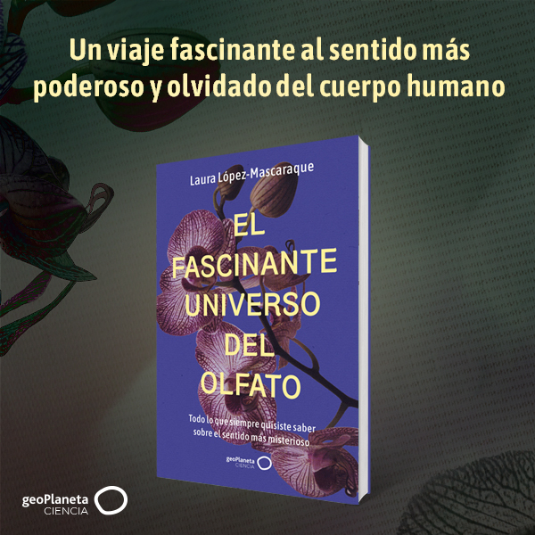 Banner El fascinante universo del olfato