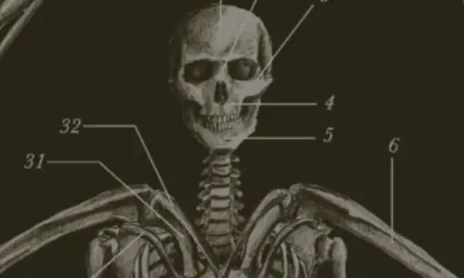 Imagen articulo: Novedades Minotauro para enero 2025