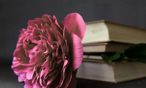 Imagen articulo: Secretos, deseo y emoción: Adéntrate en el Dark Romance con estos 9 libros