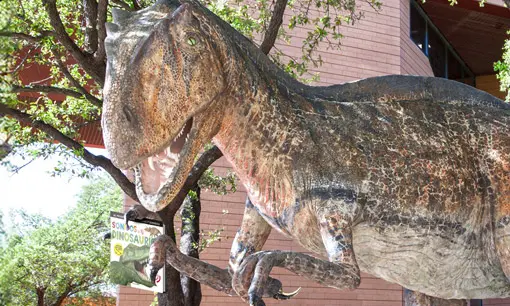 Imagen articulo: ¿Tu hijo ama los Dinosaurios? Sorpréndelo con estos libros increíbles