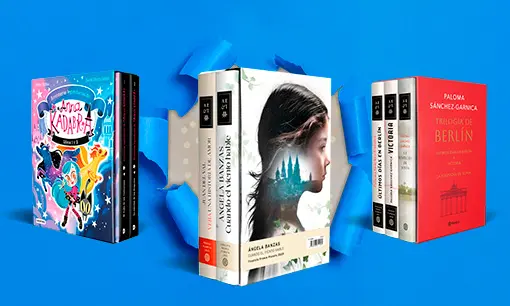Imagen articulo: Estuches de libros: el regalo perfecto para amantes de la lectura