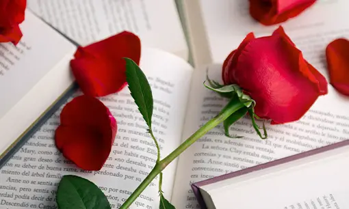 Imagen articulo: Los libros más vendidos en Sant Jordi 2026