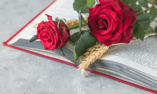 Imagen articulo: Libros románticos recomendados para Sant Jordi 🌹