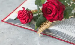 Miniatura articulo: Libros románticos recomendados para Sant Jordi 🌹