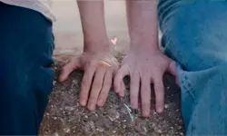 Miniatura articulo: Todo sobre la película de Heartstopper: fecha, reparto y trailer