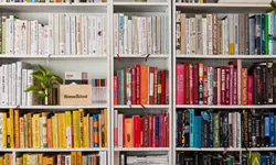 Miniatura articulo: 5 formas de colocar los libros de tu biblioteca de forma original
