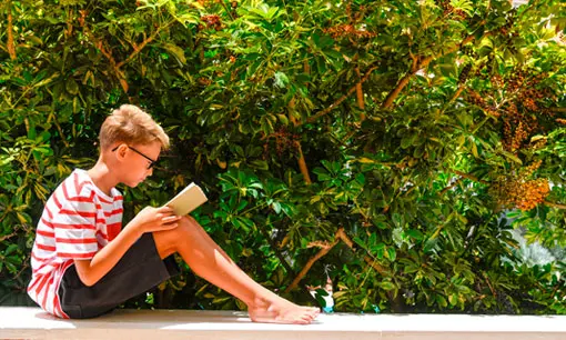 Imagen articulo: Libros sobre autismo: Voces y miradas que nos acercan a la diversidad