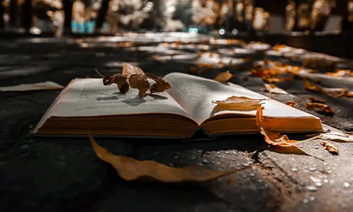 Imagen articulo: 9 libros de novela negra española que tienes que leer este otoño