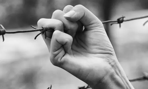 Imagen articulo: 11 libros que exploran el papel de las mujeres en la guerra