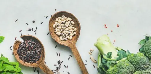 Imagen articulo: Día Mundial del Veganismo: un glosario para unirlos a todos