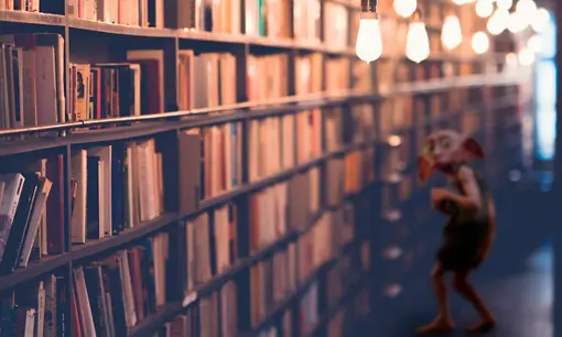 Imagen articulo: 14 libros para leer después de Harry Potter