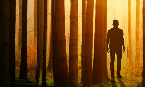 Imagen articulo: Guía de los mejores libros de misterio: Lecturas imprescindibles para los amantes del suspense