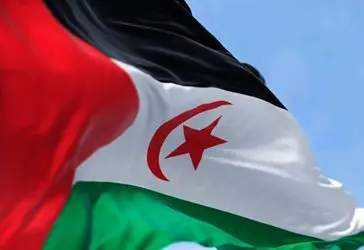 Imagen articulo: Libros para entender qué está pasando en el Sáhara Occidental