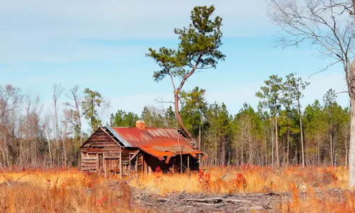 Imagen articulo: Gótico sureño: ¿Qué es este género y por qué Michael McDowell es su rey?