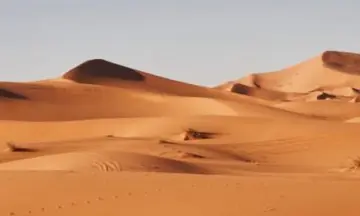 Imagen articulo: Escritos en la arena: 6 lecturas clásicas para un viaje al desierto