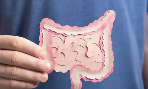 Imagen articulo: ¿Qué es el SIBO? 6 libros para entender esta y otras afecciones de la flora bacteriana