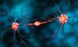 Miniatura articulo: 9 libros de neurociencia para explorar los secretos del cerebro