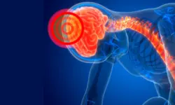 Miniatura articulo: La neuroinflamación y cómo influye en nuestro cerebro: lecturas que te ayudarán a entenderlo.