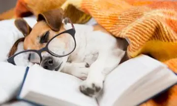 Imagen articulo: Los mejores libros para leer con tu perro