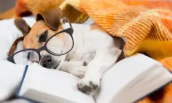 Miniatura articulo: Los mejores libros para leer con tu perro