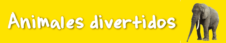 Animales divertidos