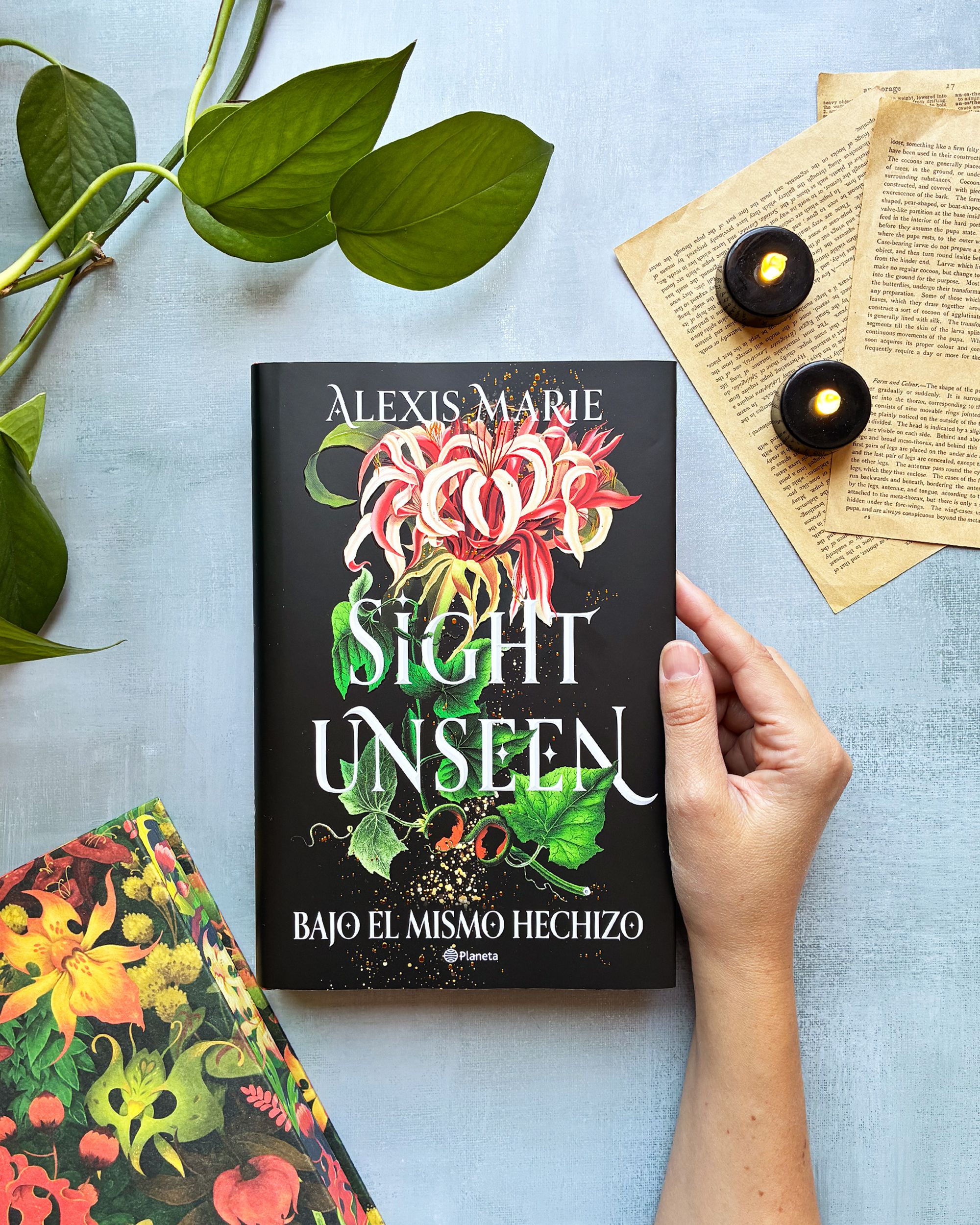 Portada Sight Unseen. Bajo el mismo hechizo 0