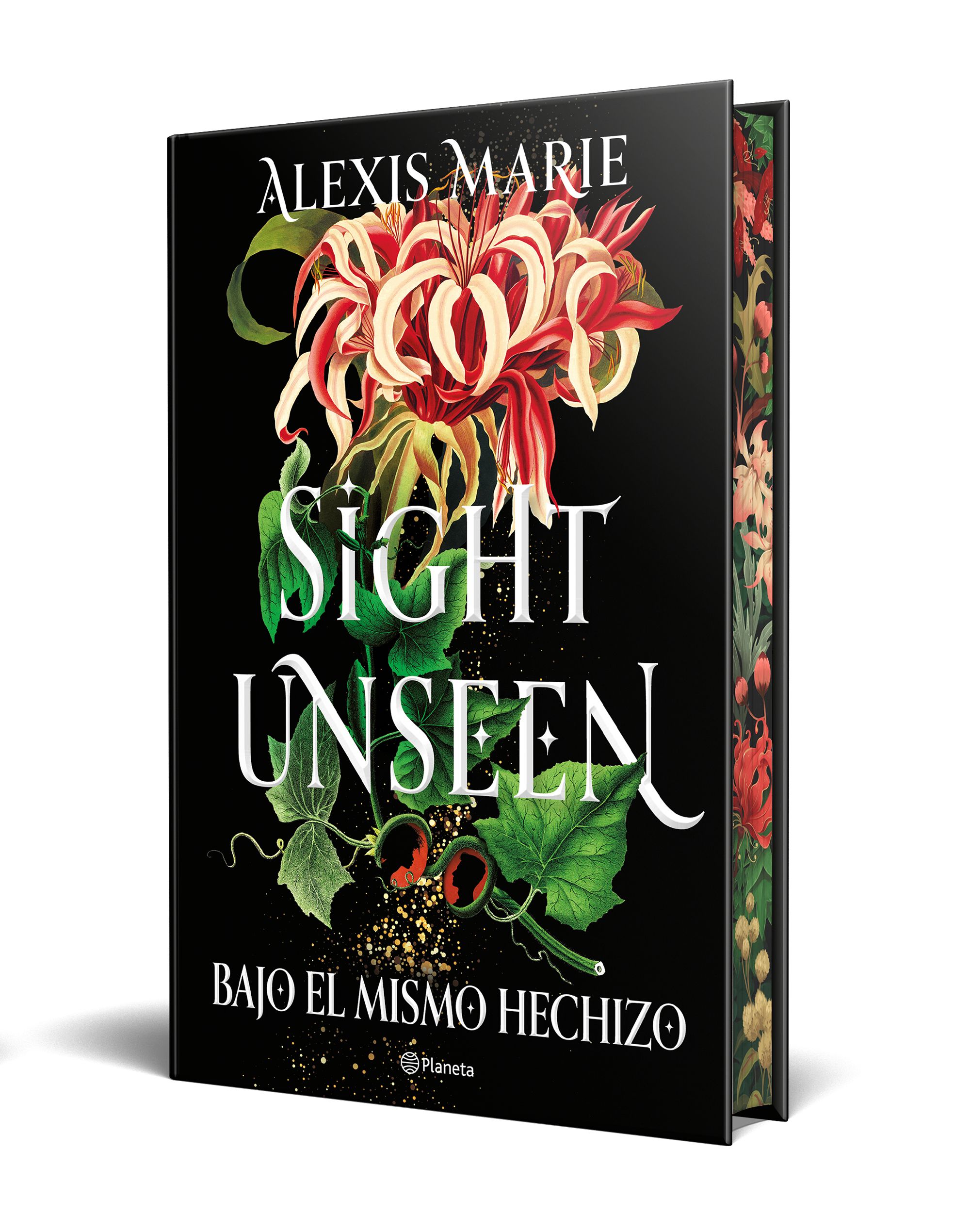Portada Sight Unseen. Bajo el mismo hechizo
