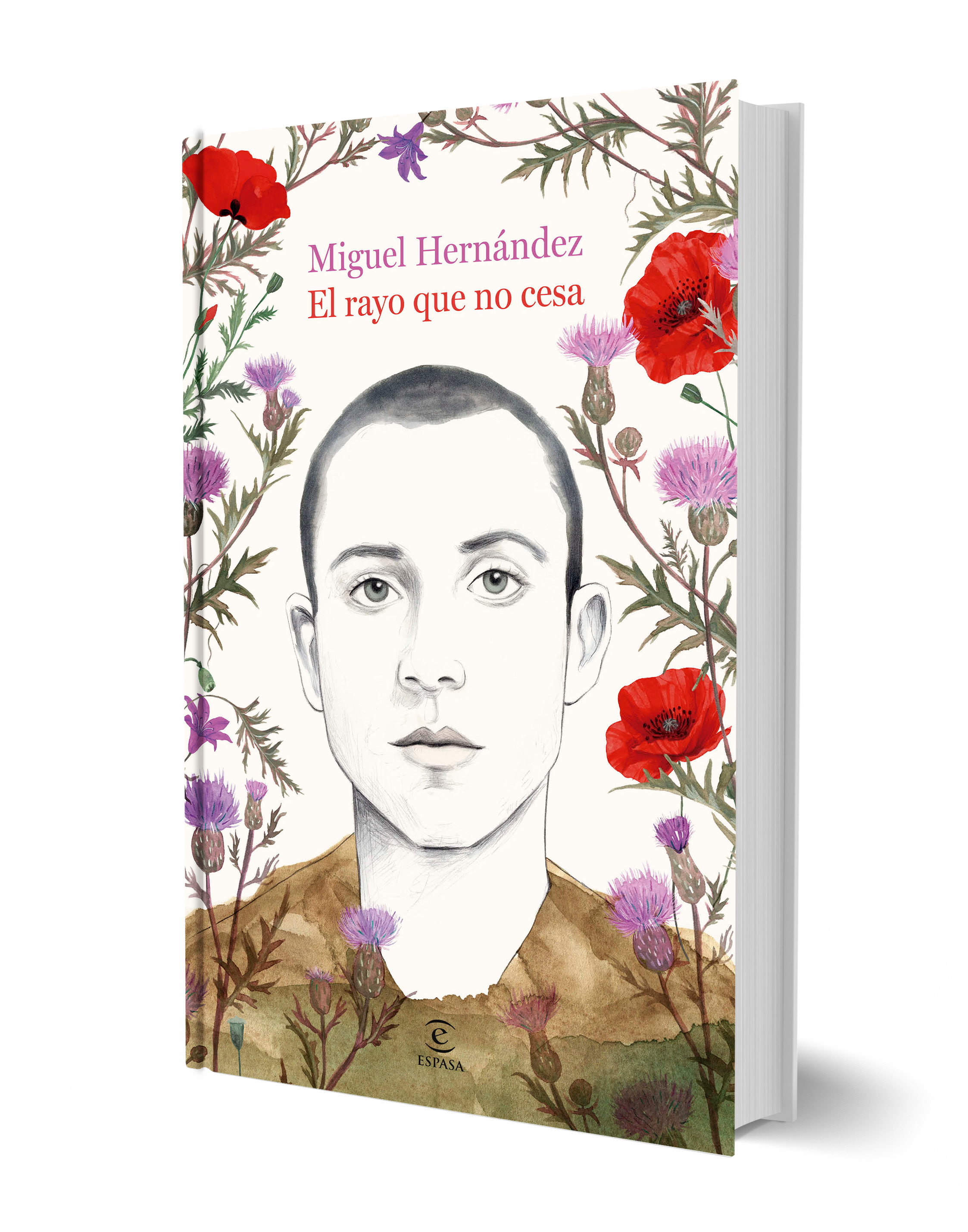 Miniatura portada 3d El rayo que no cesa