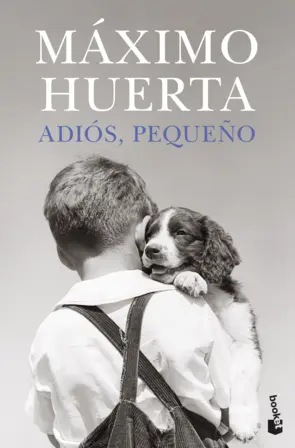 Portada Adiós, pequeño