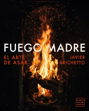 Portada Fuego madre
