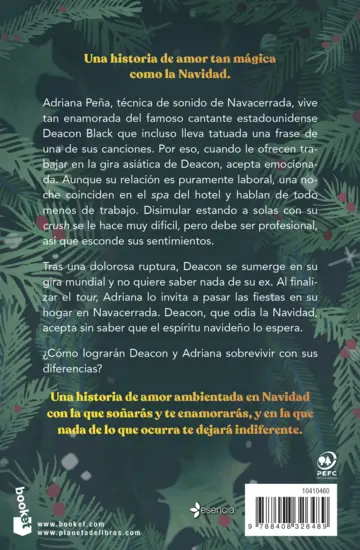 Contraportada Una Navidad muy fun, fun, fun