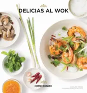 Portada Delicias al wok