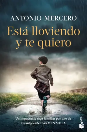 Portada Está lloviendo y te quiero