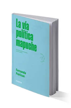 Portada La vía política mapuche