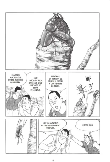 Imagen extra Historias color tierra nº 01/03 2