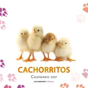 Portada Calendario Cachorritos 2027