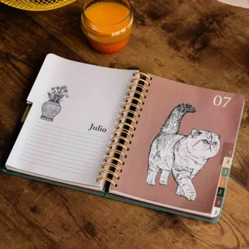 Imagen extra Agenda anual semanal 2027 Laura Agustí "Gatos" 3