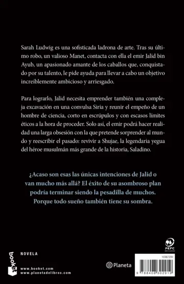 Contraportada La sombra de los sueños