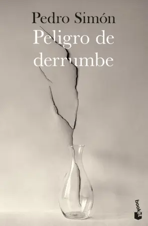 Portada Peligro de derrumbe