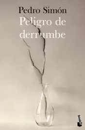 Portada Peligro de derrumbe