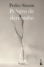 Portada Peligro de derrumbe