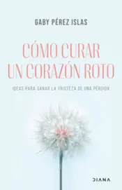 Portada Cómo curar un corazón roto (Edición española)