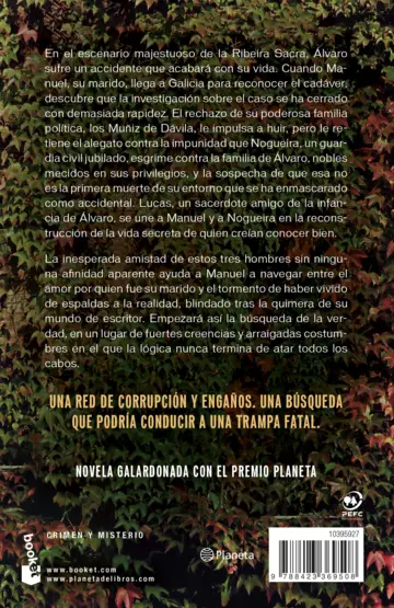 Contraportada Todo esto te daré