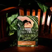 Portada Algún día, hoy 2