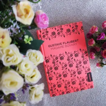Imagen extra Madame Bovary 1