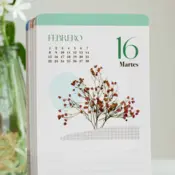 Portada Calendario mesa de tarjetas 2027 - Defreds 3
