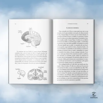 Imagen extra El camino del despertar 1