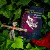 Portada La cara norte del corazón 0